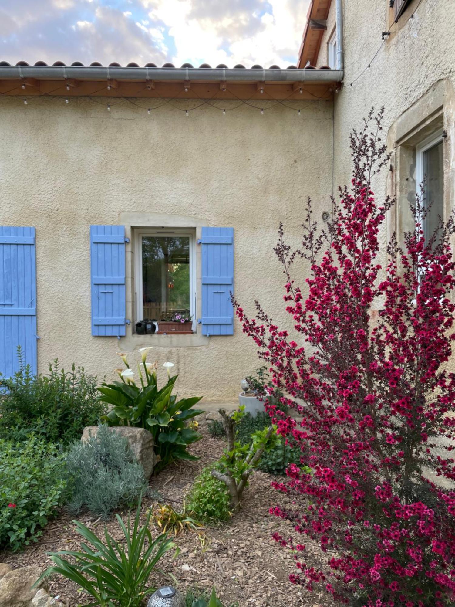 La Bastide Bed and Breakfast Armous-et-Cau Εξωτερικό φωτογραφία